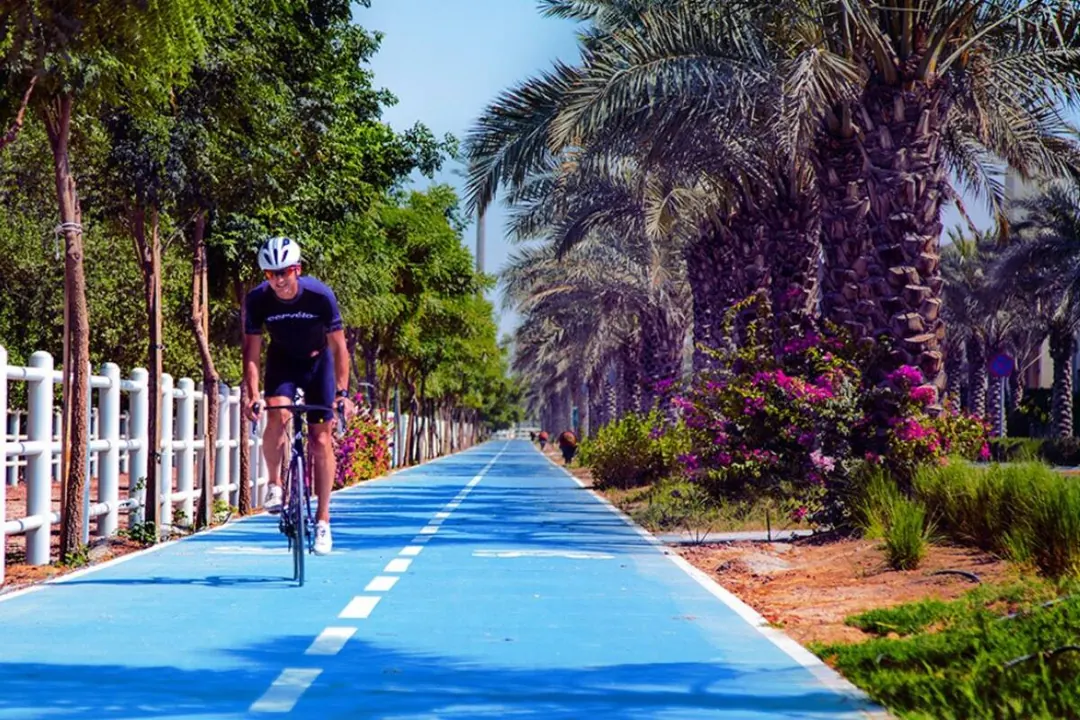 The Sustainable City, the cycling track